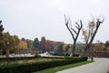 Autumn landscape in Herastrau park, Bucharest. Royalty Free Stock Photo