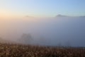 Autumn landscape of high mountains, orange coloured trees, fog. Sun rays enlighten the lawn with dry grass. Blue sky. Royalty Free Stock Photo