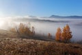 Autumn landscape of high mountains, orange coloured trees, fog. Sun rays enlighten the lawn with dry grass. Blue sky. Royalty Free Stock Photo