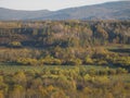 Autumn landscape in Hulun Buir