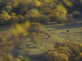 Autumn landscape in Hulun Buir