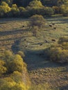 Autumn landscape in Hulun Buir