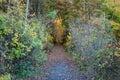 Autumn landscape image of the hiking path in Point State Park, the area is rich in natural beauty. Royalty Free Stock Photo
