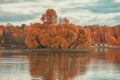 Autumn landscape, island in the lake, panorama of island with golden trees, bright autumn colors. Colorful scenery in the evening Royalty Free Stock Photo