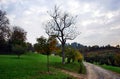 An autumn landscape in Italy