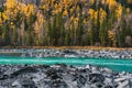 Autumn landscape in Kanas river Royalty Free Stock Photo