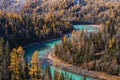 Autumn landscape in Kanas river Royalty Free Stock Photo