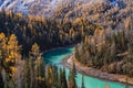 Autumn landscape in Kanas river Royalty Free Stock Photo