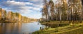 Panorama of the morning autumn landscape on the lake with birch forest on the shore, Russia, Ural, September Royalty Free Stock Photo