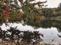 Autumn landscape with lake: Calm lakefront view of fall framed by green and red maple leaves and green, yellow, orange colored Royalty Free Stock Photo