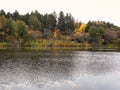 Autumn Landscape with Lake: Fall colored trees along the banks of a small lake in the midst of a forest on an overcast autumn day Royalty Free Stock Photo