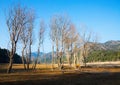 Autumn landscape with lake. Muga, Catalonia