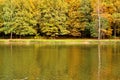 Autumn landscape on lake. Park in the fall. Golden autumn. Royalty Free Stock Photo