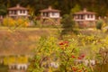 Autumn landscape with lake and rose hip, Bulgaria Royalty Free Stock Photo