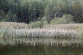 Autumn landscape. Lake shore in the forest. Reflection in water. Royalty Free Stock Photo