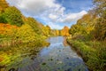 Autumn landscape of the lake at Stourhead with tress and foliage in full fall colours and lilies in the foeground at Stourton, Wil