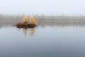 Autumn landscape on the lake with tiny island with trees and yellow leaves Royalty Free Stock Photo