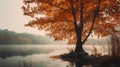 Autumn landscape with a lake and trees in the mist. Color toning