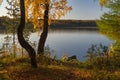 Autumn landscape by the lake, trees with yellow foliage illuminated by the rays of the setting sun Royalty Free Stock Photo