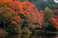 Autumn Landscape in Lithuania. Public Park in Vilnius. Royalty Free Stock Photo