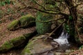 Autumn landscape of little waterfall, tree and stones in green moss