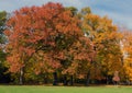 Autumn Landscape London Ontario Canada Royalty Free Stock Photo