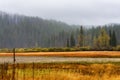 Autumn landscape along the Santiam Pass