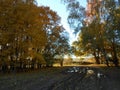 Autumn landscape on the marge of forest and field with rural road.