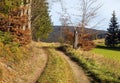 autumn landscape with meadow, forest and dirt road Royalty Free Stock Photo