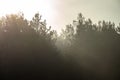 autumn landscape. Mist over the trees. Forest in the fog. Backlight sunlight. Beautiful sunrise in the clear sky Royalty Free Stock Photo