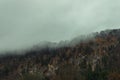 Autumn landscape misty forest mountain brown foggy nature scenic view background moody photo Royalty Free Stock Photo