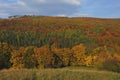 Autumn landscape, mixed forest in clear weather. Bursting with colors Royalty Free Stock Photo