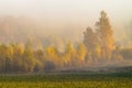 Autumn landscape with morning fog in Central Russia.