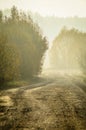 Autumn landscape with morning fog in Central Russia.