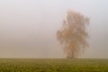 Autumn landscape with morning fog in Central Russia.