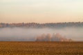 Autumn landscape with morning fog in Central Russia.