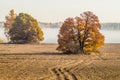 Autumn landscape with morning fog in Central Russia.