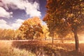 Autumn landscape