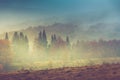 Autumn landscape in mountain. Colorful trees in fog and rain. Royalty Free Stock Photo