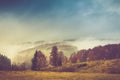 Autumn landscape in mountain. Colorful trees in fog and rain. Royalty Free Stock Photo