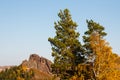 Autumn landscape of the mountain