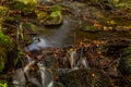 Autumn landscape with mountain river flowing among mossy stones through the colorful forest. Silky smooth stream of clear water. Royalty Free Stock Photo