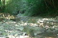 Autumn landscape with mountain river flowing among mossy stones through the colorful forest. Silky smooth stream of clear water. Royalty Free Stock Photo