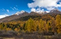 Autumn landscape with mountain in Val Martello, southtyrol, Italy. Royalty Free Stock Photo