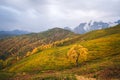 Autumn landscape in the mountains Royalty Free Stock Photo