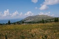 Autumn landscape in the mountains. Field yellow green grass, coniferous trees, rocky mountain and blue sky with clouds Royalty Free Stock Photo