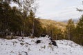 Autumn landscape in the mountains with the first snow Royalty Free Stock Photo