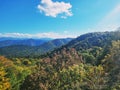 Autumn landscape in the mountains yellow green red foliage