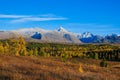 Autumn landscape in the mountains. Yellow-green taiga on a background of gray mountains and snow-capped peaks Royalty Free Stock Photo