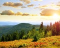 Autumn landscape in National park Bayerischer Wald at sunset, Germany.